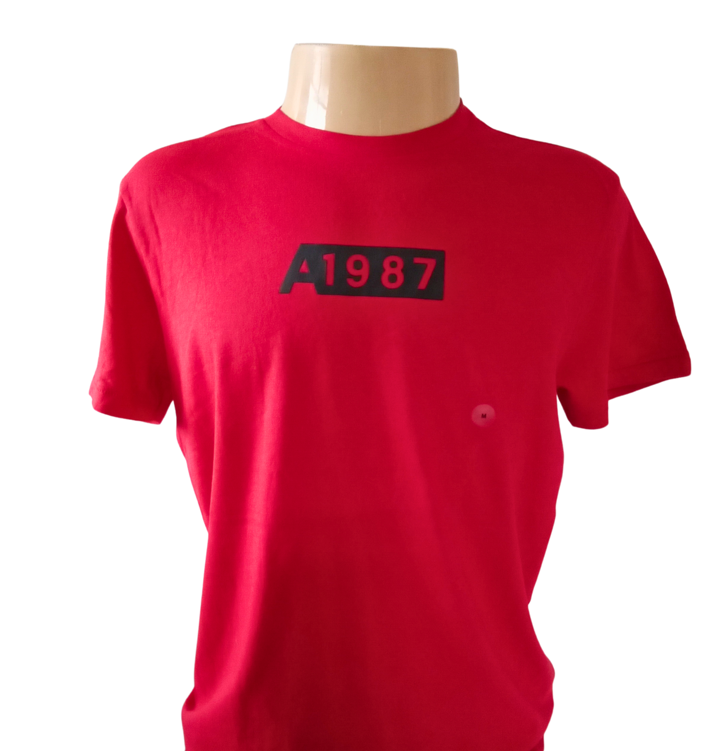 Camiseta Manga Curta Masculino Aeropostale