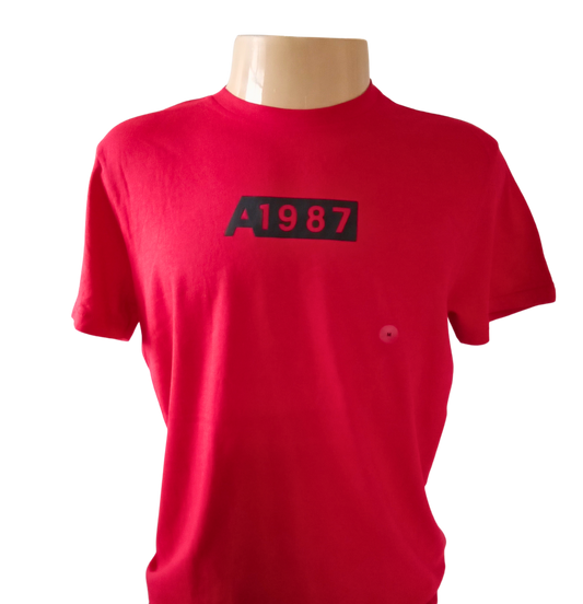 Camiseta Manga Curta Masculino Aeropostale
