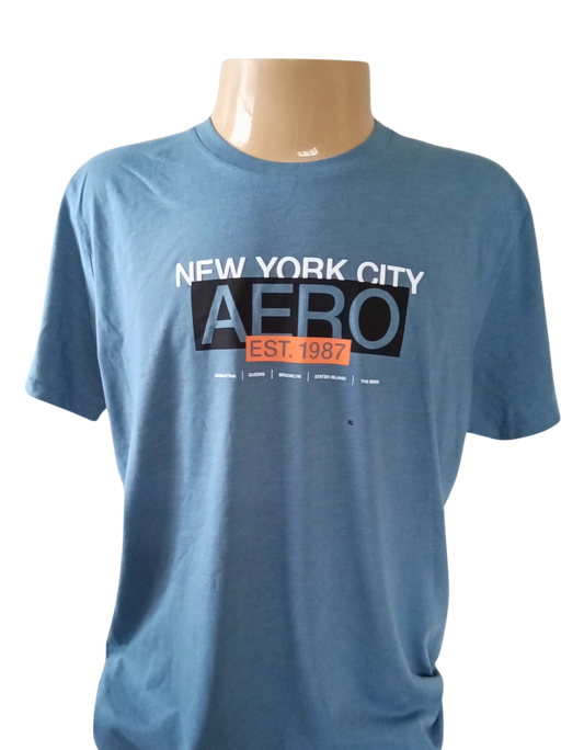 Camiseta Manga Curta Masculino Aeropostale