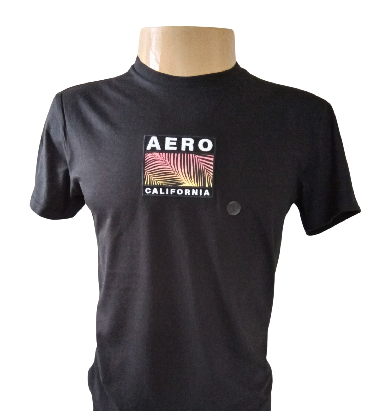 Camiseta Manga Curta Masculino Aeropostale