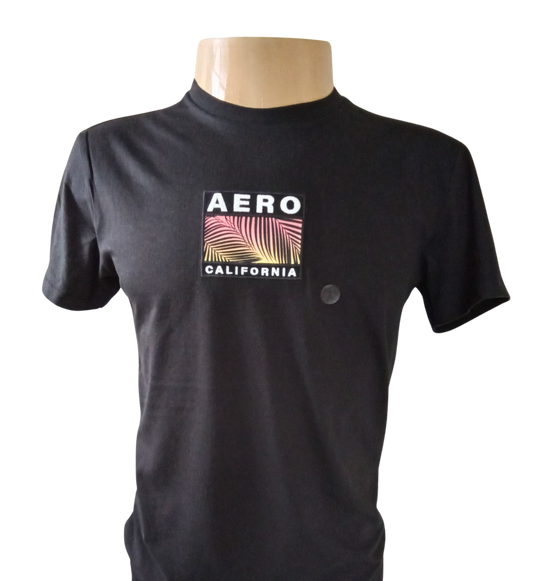 Camiseta Manga Curta Masculino Aeropostale